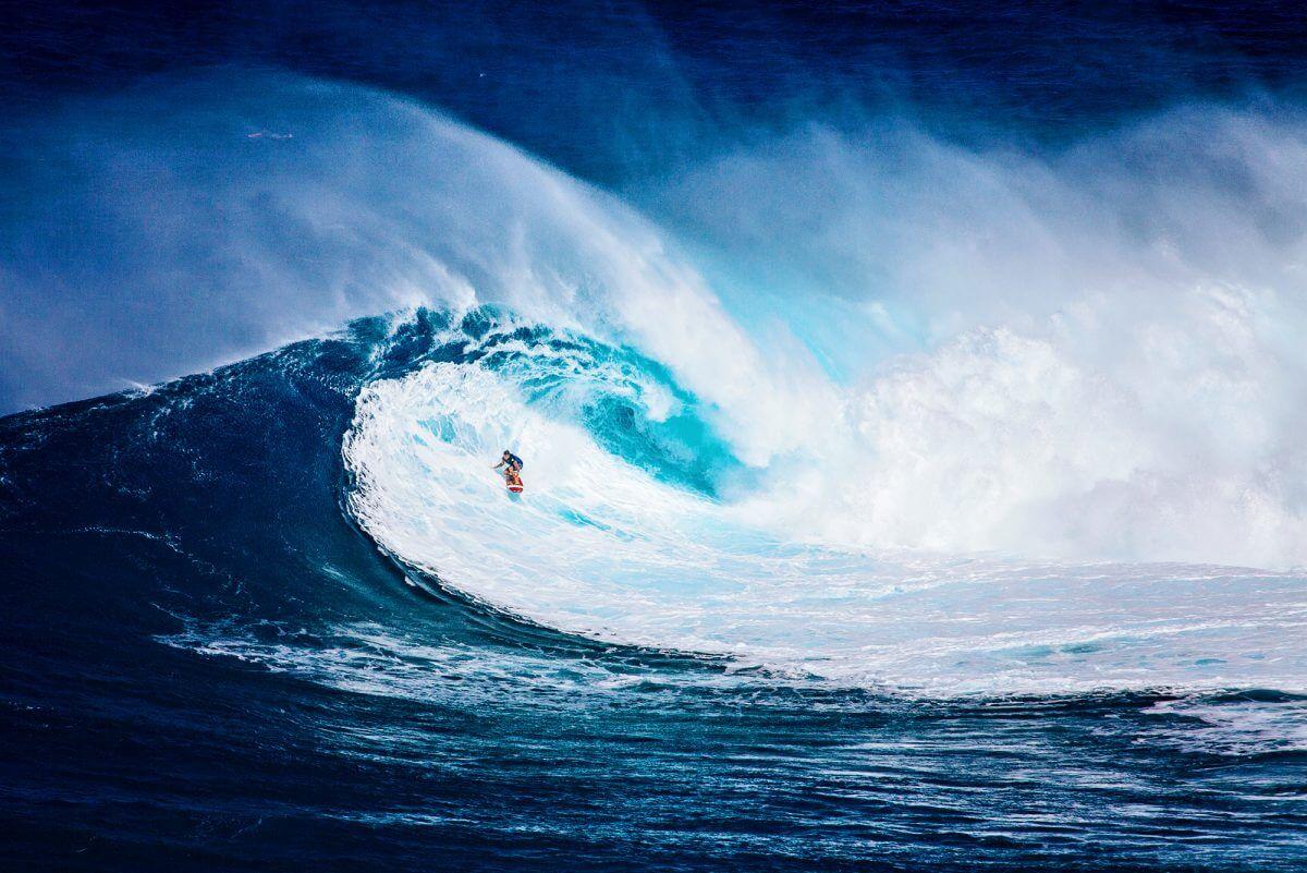 Surfer